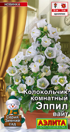 Колокольчик комнатный Эппил вайт / Зимний сад