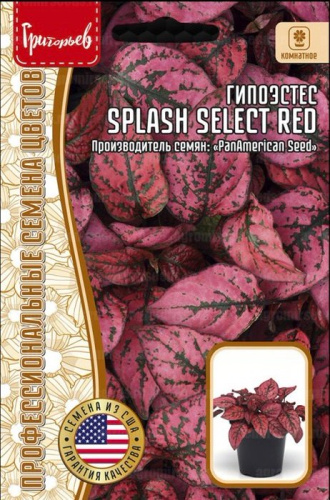 Гипоэстес Сплэш Селект Красный (Splash Select Red)