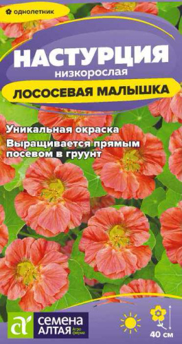 Настурция Лососевая малышка низкорослая 