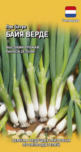 Лук Байя Верде, батун