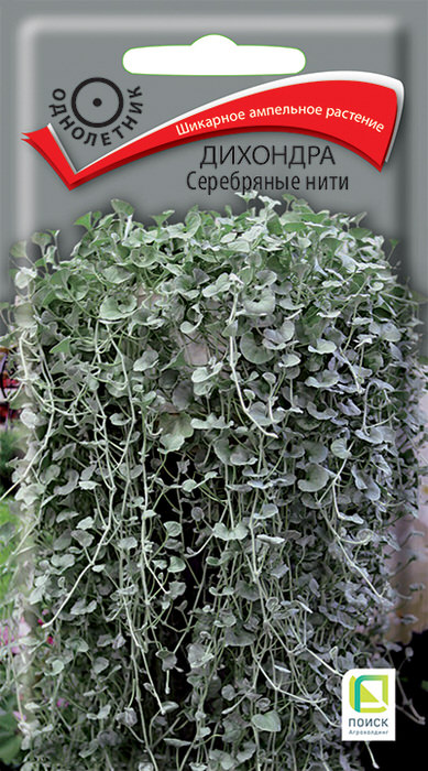 Дихондра Серебряные нити