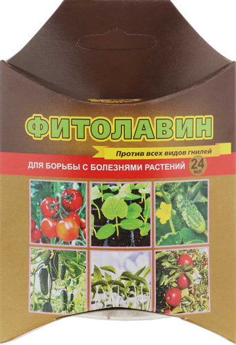 Фитолавин 24мл (ВХ)