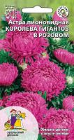 Астра Королева Гигантов в Розовом пионовидная  купить