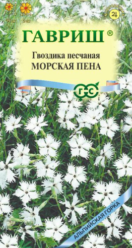 Гвоздика Морская Пена песчаная 