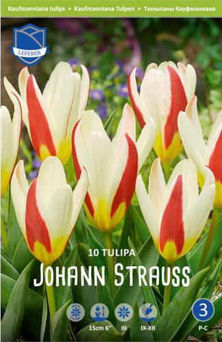 Тюльпан Кауфманиана "Johann Strauss" (1х10шт)