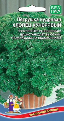 Петрушка Хлопец Кучерявый  кудрявая 