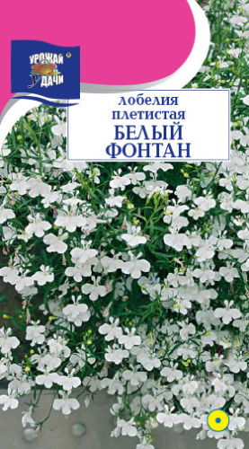 Лобелия Белый фонтан плетистая
