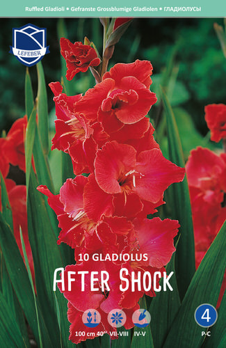Гладиолус гофрированный After Shock /10шт