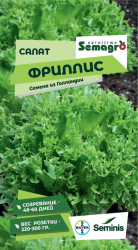 Салат Фриллис 