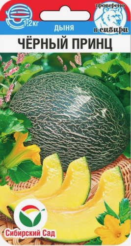 Дыня Черный принц