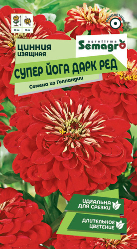 Цинния изящная Супер Йога Дарк Ред 