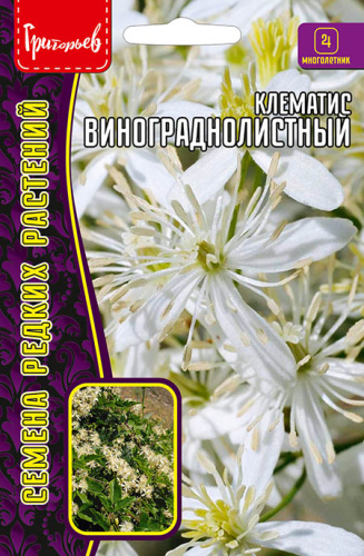 Клематис Винограднолистный 