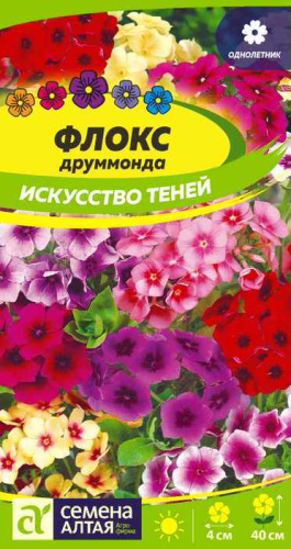Флокс Искусство Теней друммонда