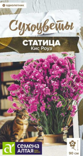 Статица Кис Роуз  Сухоцветы