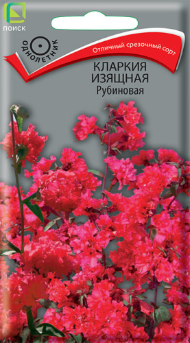 Кларкия изящная Рубиновая