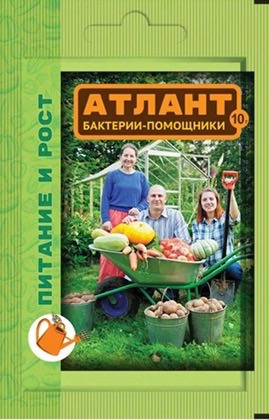Атлант Питание и рост 10г