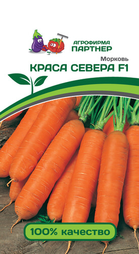 Морковь Краса Севера F1 