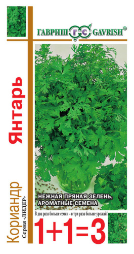 Кориандр Янтарь серия 1+1 