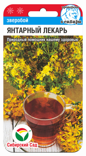Зверобой Янтарный лекарь