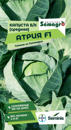 Капуста Атрия F1 