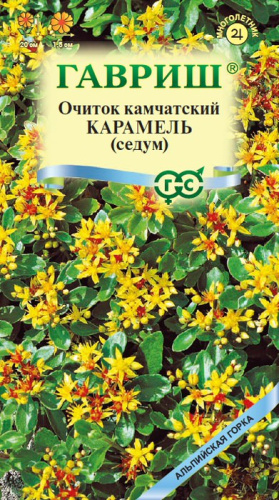 Седум камчатский Карамель 