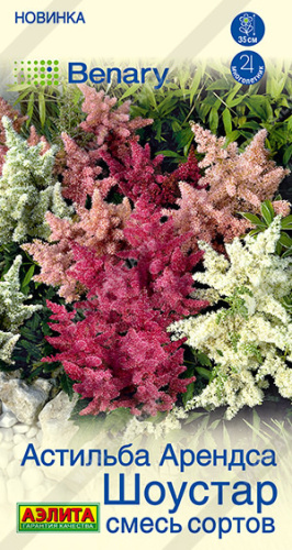 Астильба Шоустар, смесь сортов