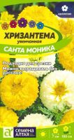 Хризантема Санта Моника увенчанная купить