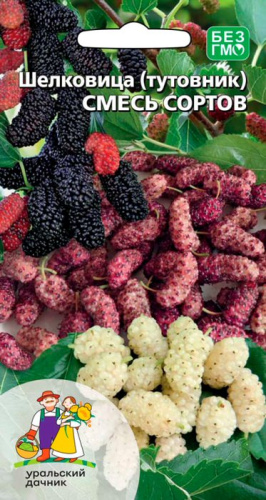 Шелковица (тутовник) Смесь сортов
