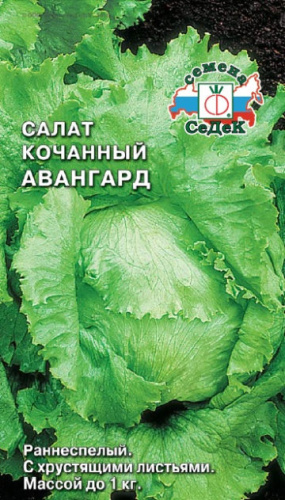 Салат Авангард  кочанный