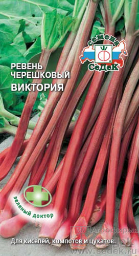 Ревень Виктория черешковый