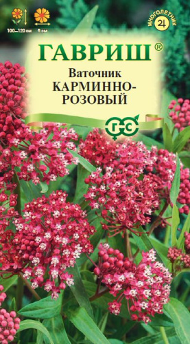 Ваточник Карминно-розовый 