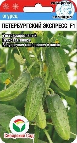 Огурец Петербургский экспресс F1 