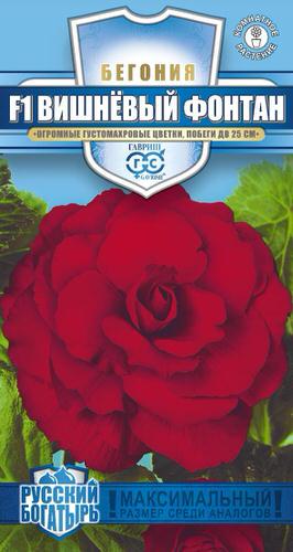 Бегония Вишневый фонтан F1 клубн. Русский богатырь