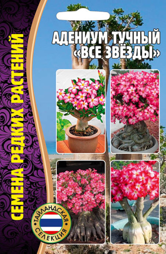 Адениум Все Звёзды