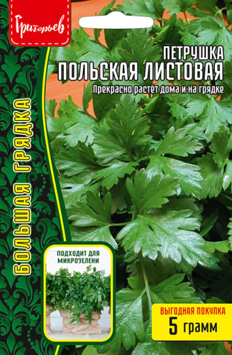 Петрушка Польская листовая