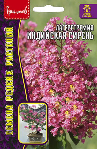 Лагерстремия Индийская Сирень