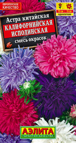 Астра Калифорнийская исполинская, смесь 