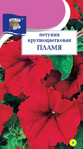 Петуния Пламя 