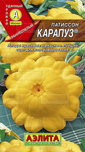 Патиссон Карапуз