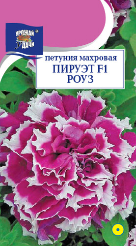 Петуния Пируэт F1 Роуз F1