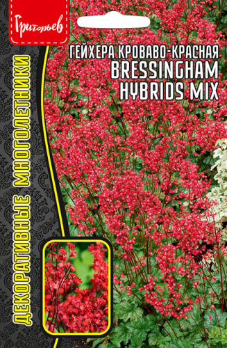 Гейхера Брессингем Гибридс (Bressingham Hybrids) кроваво-красная