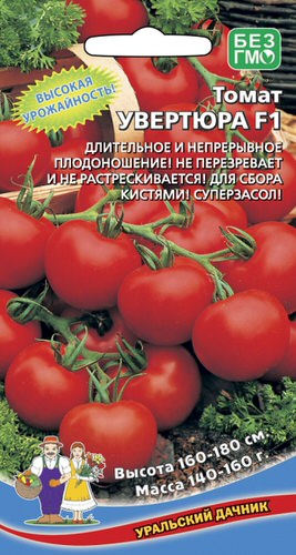 Томат Увертюра F1