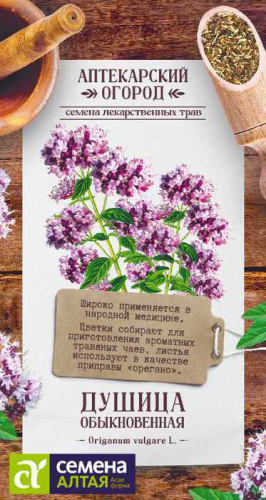 Душица Обыкновенная 