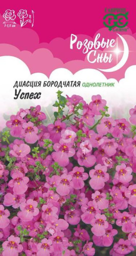 Диасция Успех 