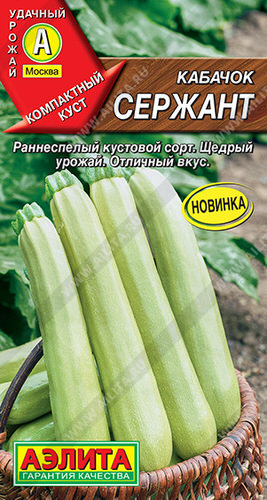 Кабачок Сержант цуккини 