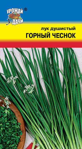 Лук (душистый) Горный чеснок 