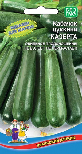 Кабачок Казерта - цуккини 