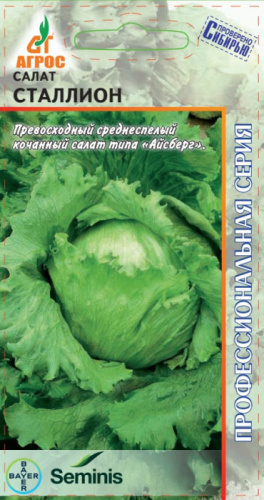 Салат Сталлион 