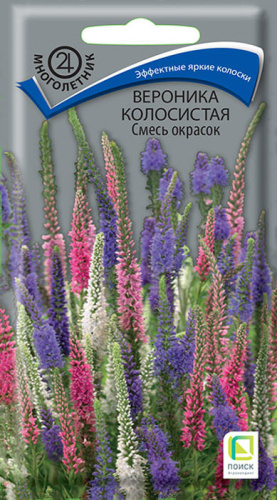 Вероника колосистая, смесь 