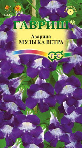 Азарина Музыка Ветра 